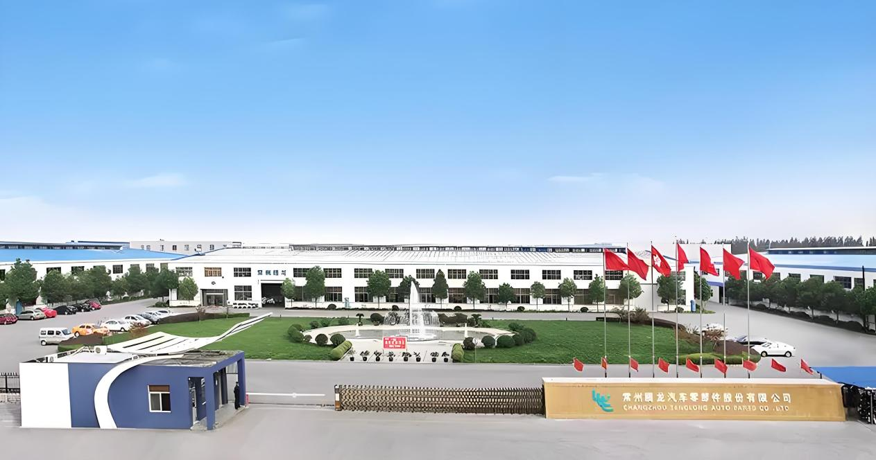 安徽騰龍新能源